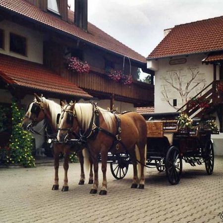 Appartementhaus "Haflinger Hof" Bad Füssing Extérieur photo